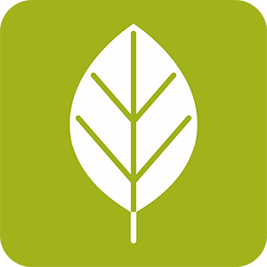 Naturaalne viskoos